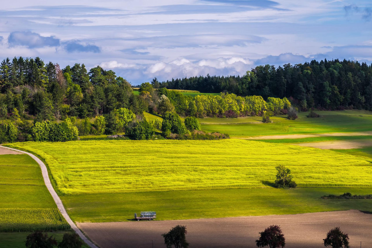 Investissement ESG à Epernay